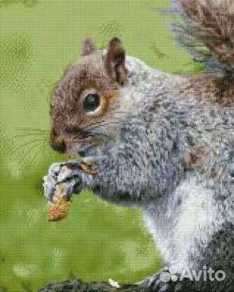 Алмазная мозаика 40х50см на подрамнике