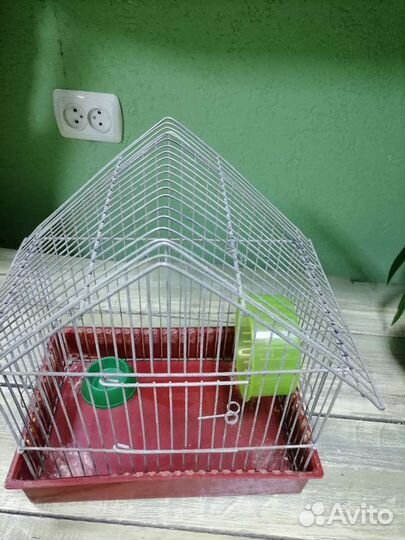 Аквариум и клетки для грызунов и птиц