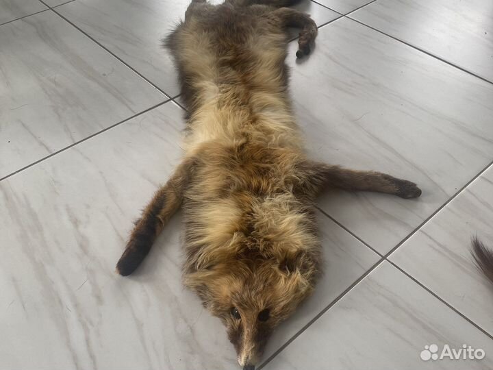 Имитация Шкура медведя, лисы, куницы