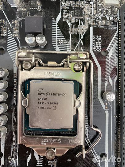 Asus prime b250m-k + pentium g4560