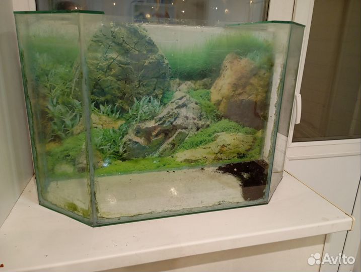 Аквариум