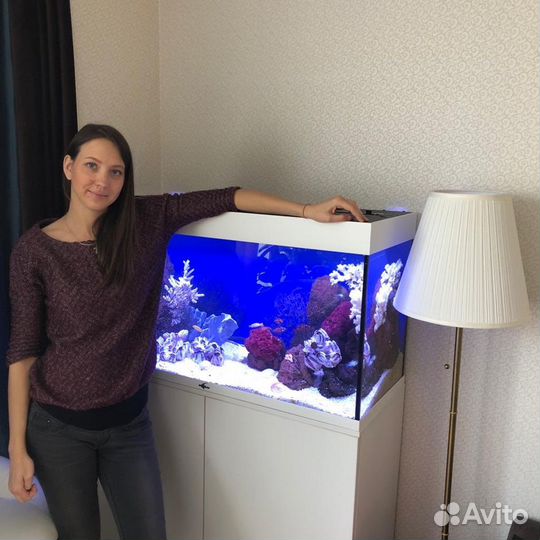 Обслуживание аквариумов