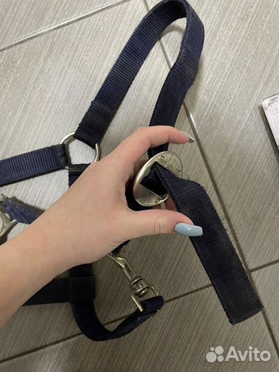 Недоуздок для лошади