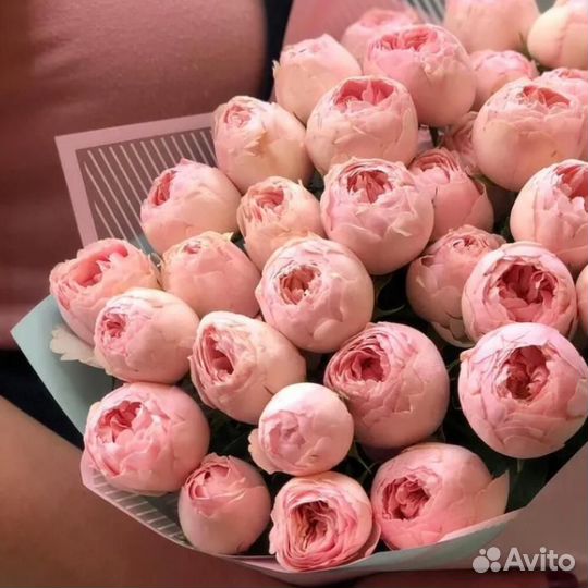 Кустовая пионовидная роза Мэнсфилд 50см. Цветы