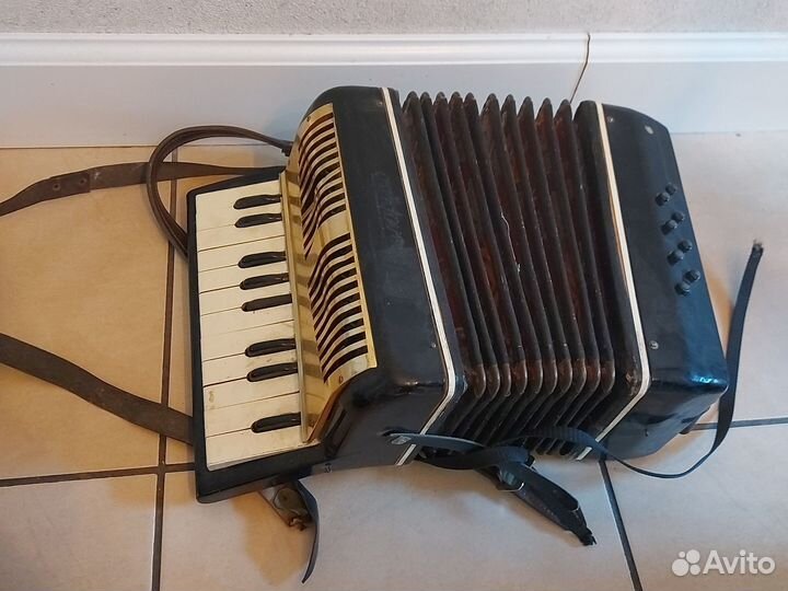Аккордеон Беларусь