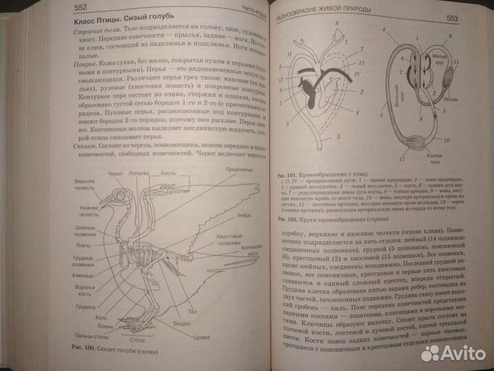 Биология справочник для школьников и поступающих