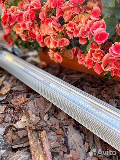 Фитосветильник