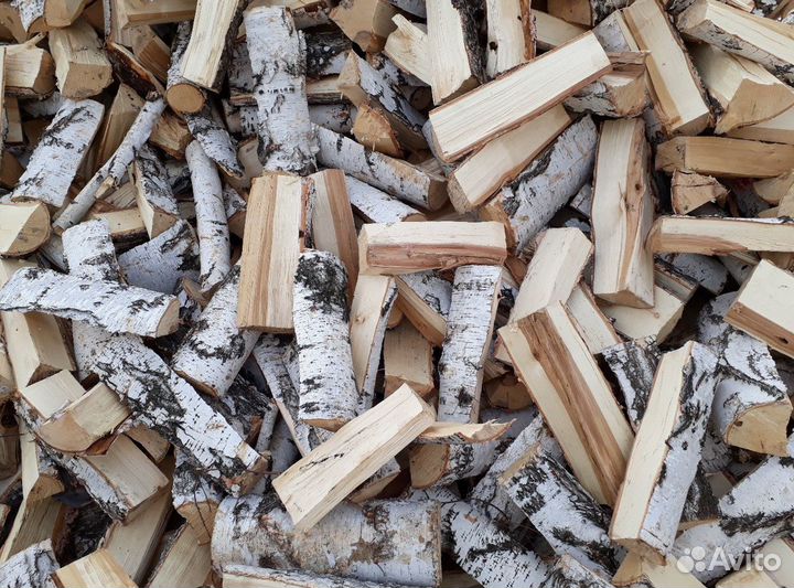 Дрова береза