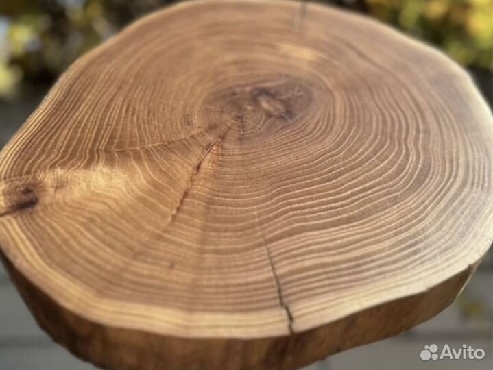 Торцевые спилы деревьев слэбы дерево Карагач