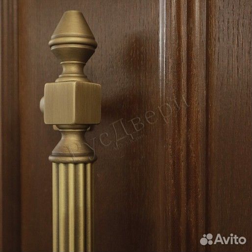 Двустворчатая металлическая входная дверь на улицу