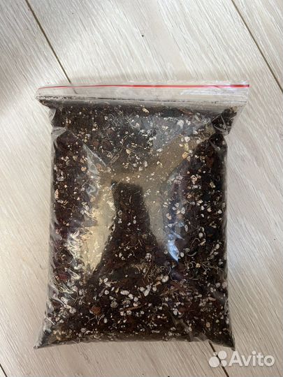 Грунт для ароидных