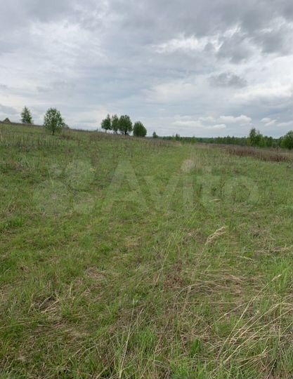 Участок 6,59 га (СНТ, ДНП)