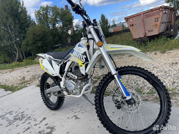 Avantis fx lux 250