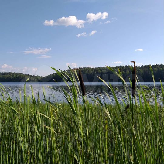 Участок 4 га (СНТ, ДНП)