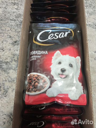 Корм для собак Cesar