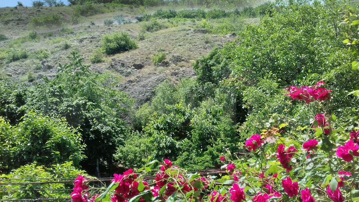 Дом 50 м² на участке 8 сот.