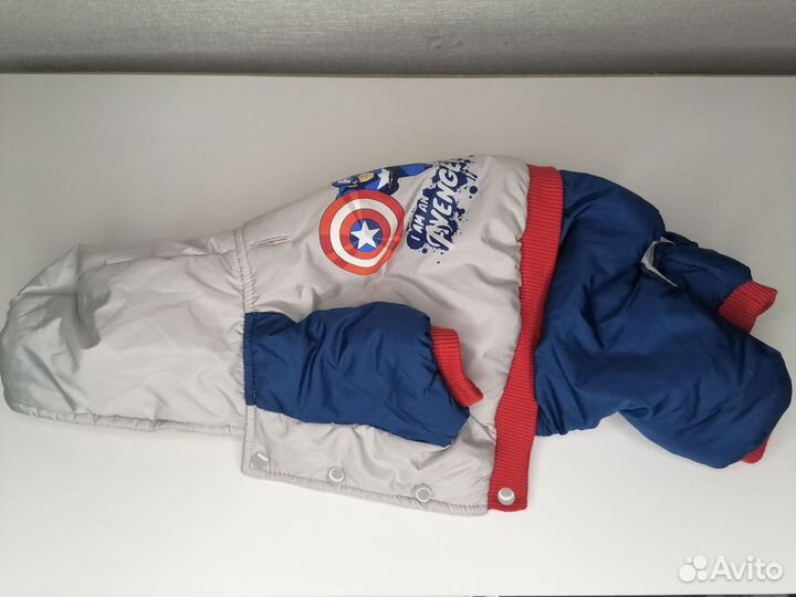 Комбинезон на чихуахуа