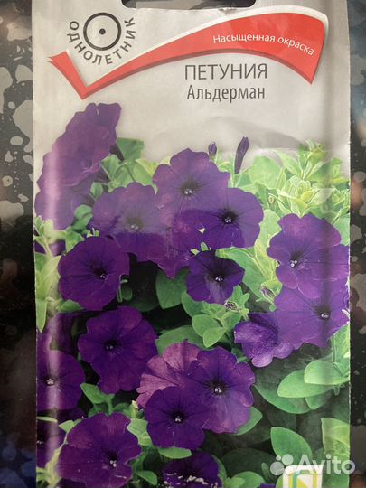 Рассада петунии Альдерман