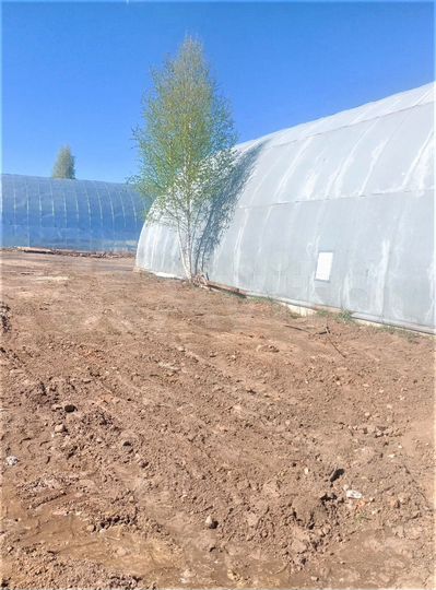 Производство, 543 м²