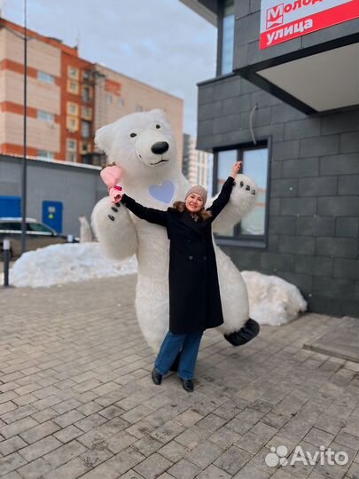 Поздравление белого мишки/ чебурашки/панды