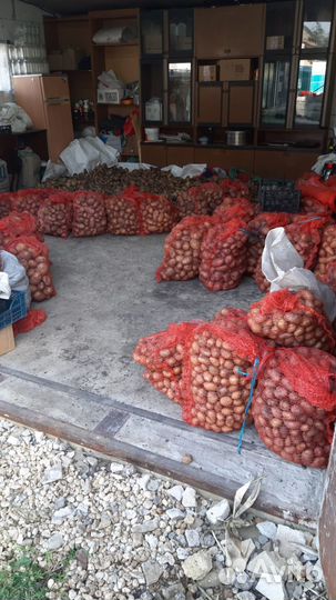 Продукты питания