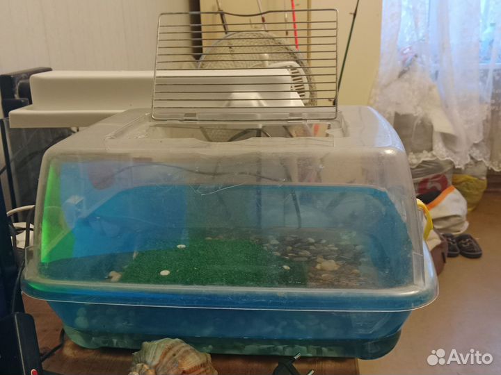 Красноухая черепаха с аквариумом