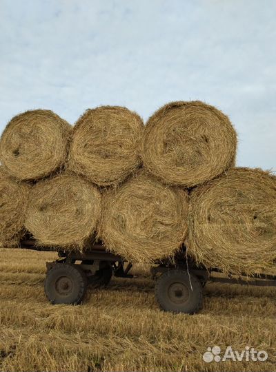 Солома в тюках