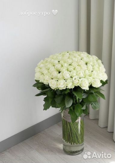 101 роза букет цветы доставка