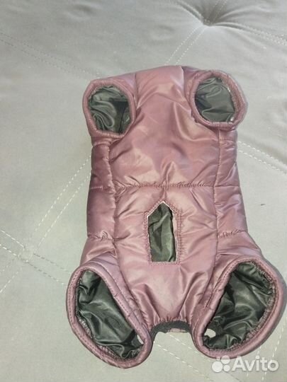 Вещи для маленьких собак