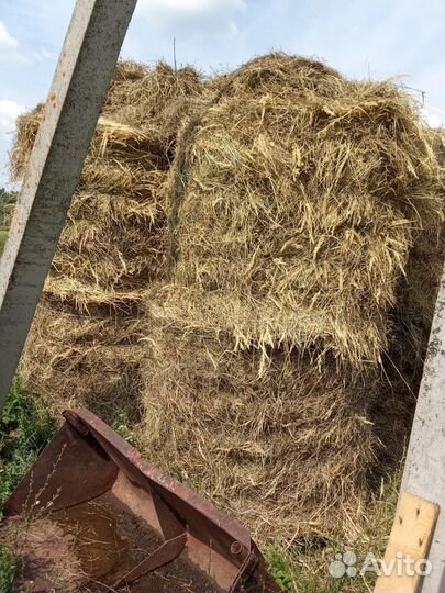 Сено в тюках разнотравье 145