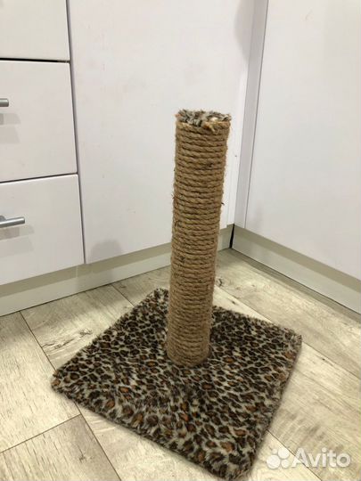 Когтеточка