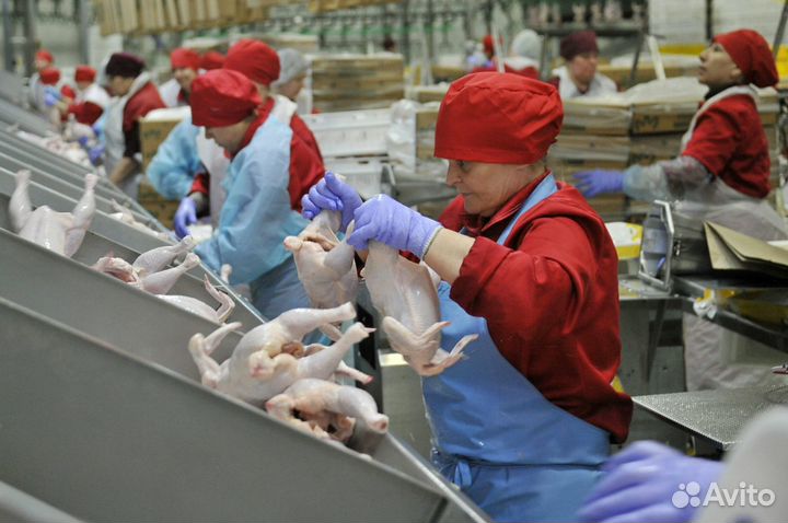 Разнорабочий / Упаковщица / Вахта / Авансы