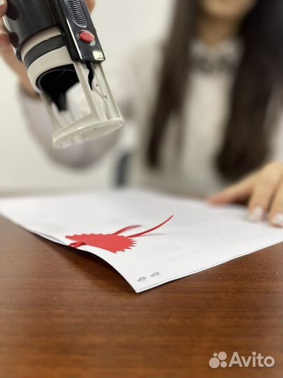 Перевод документов с любых языков мира