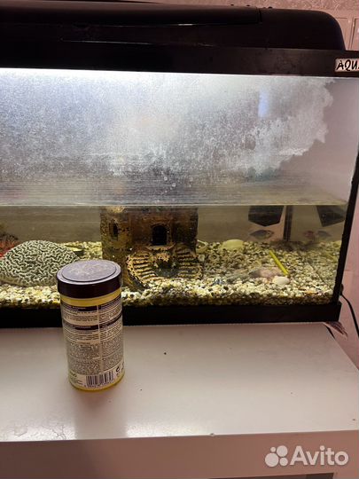 Аквариум