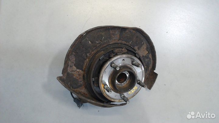 Ступица (кулак, цапфа) Chevrolet Captiva, 2009