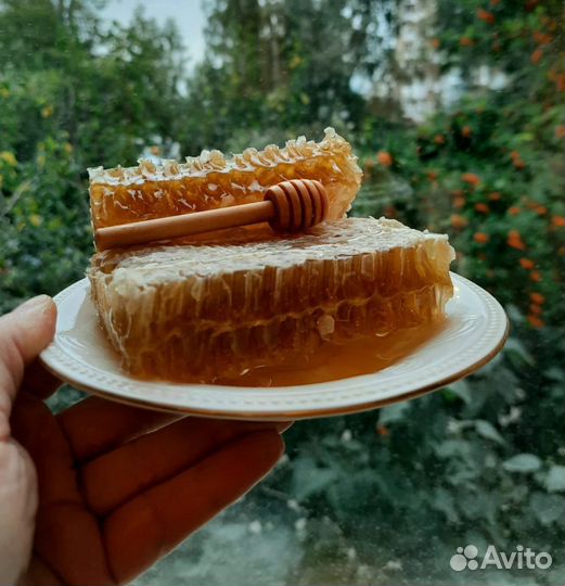 Мед оптом