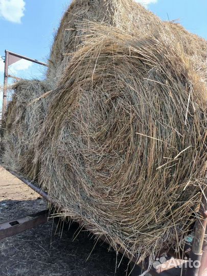 Сено с доставкой