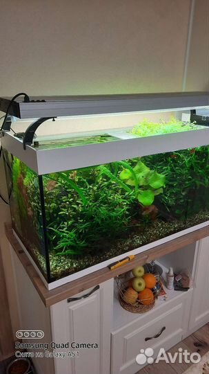 Аквариумный светильник SUN SUN