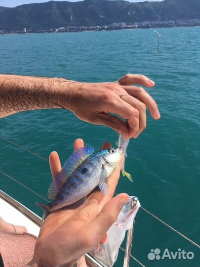 Рыбалка в море