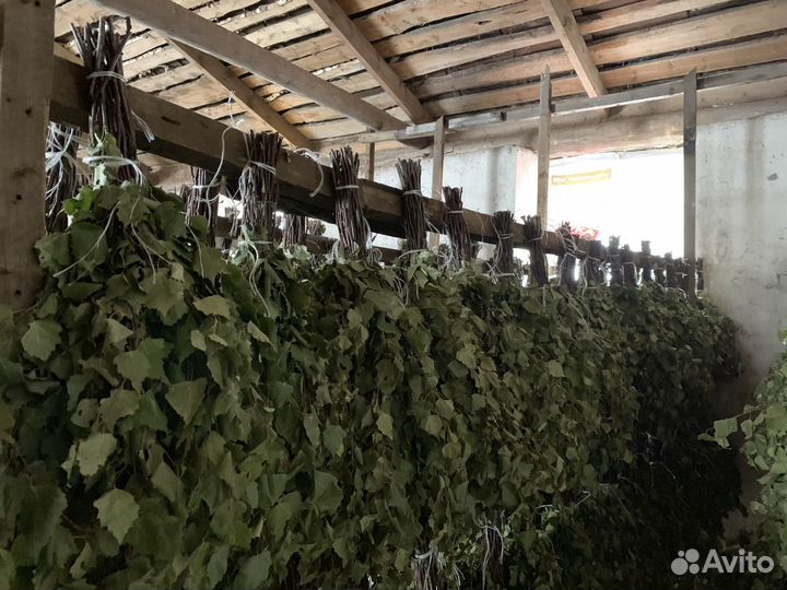 Веники: дуб, береза, липа, пихта