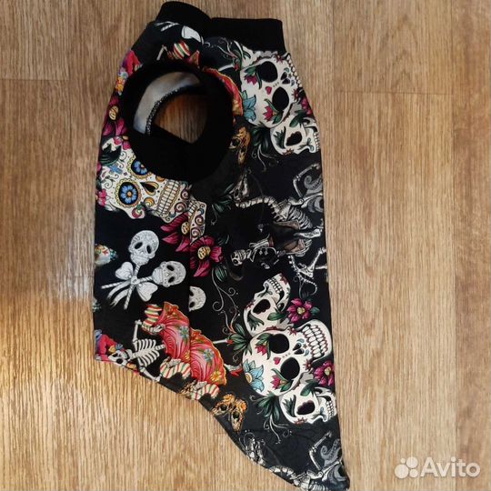 Одежда для кошек