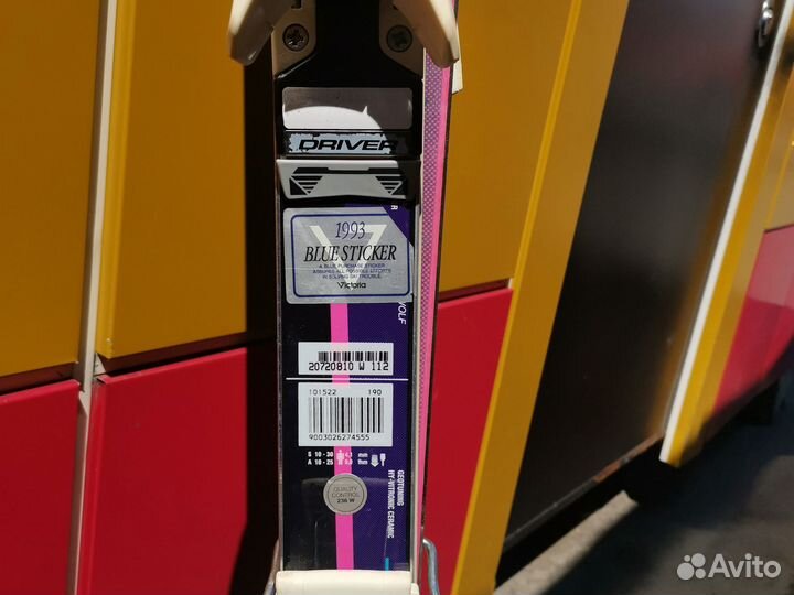 Горные лыжи