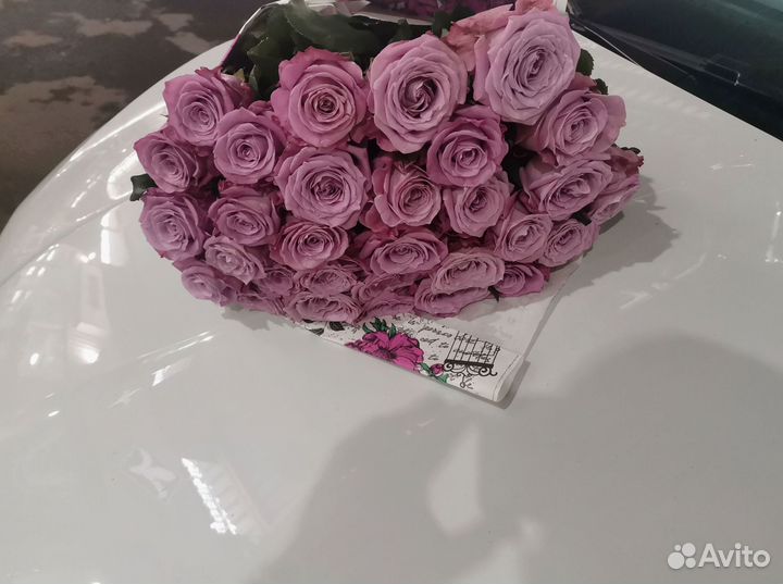 Розы