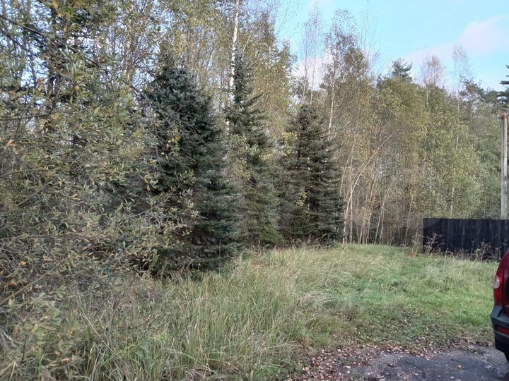 Участок 19,4 сот. (ИЖС)