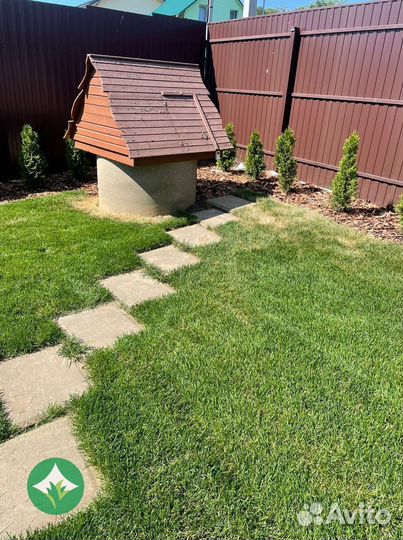 Рулонный газон