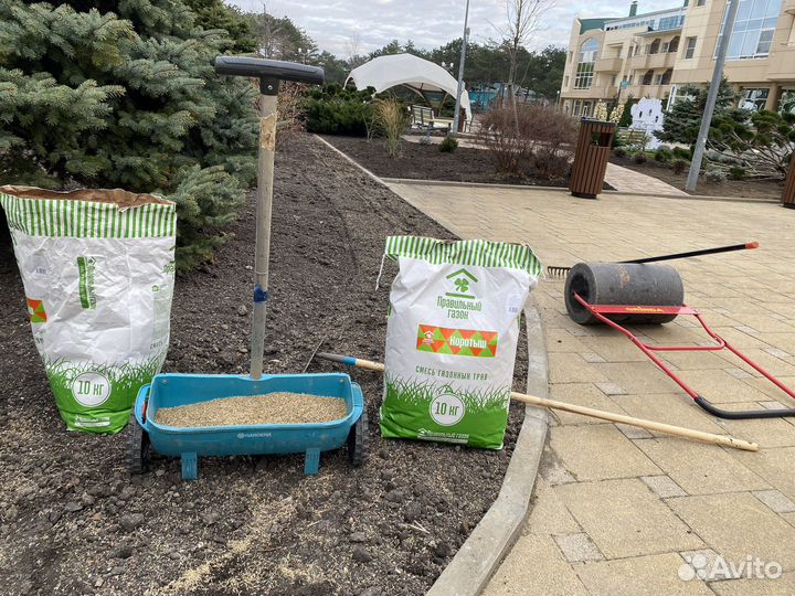 Семена газонной травы для школ, садов