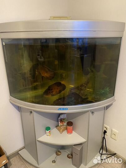 Аквариум угловой с тумбой