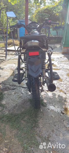 Alpha Millennium RS11