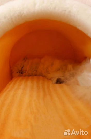 Домик для кошки лежанка для собаки