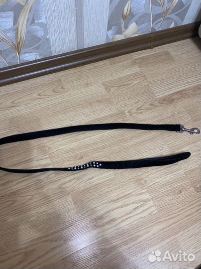 Поводок и ошейник